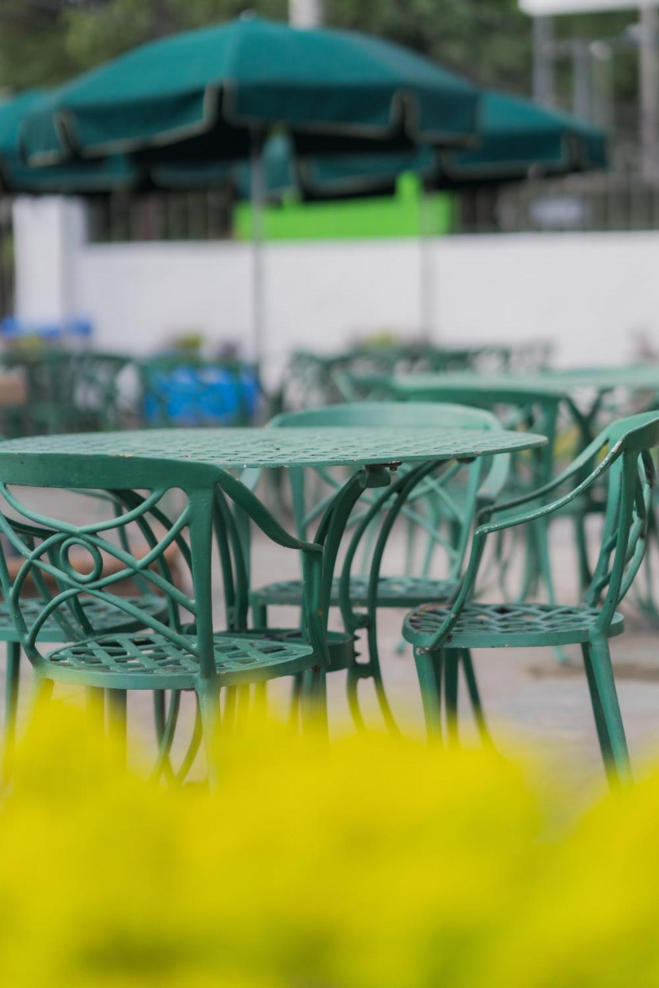 Expo Hotel Guadalajara - Zona Expo Frente Al Centro De Convenciones מראה חיצוני תמונה